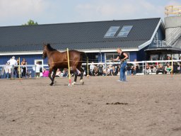 DSC_9415_web